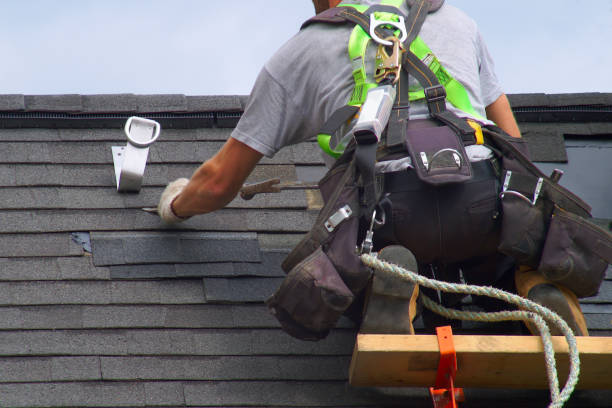 Best Local Roofing Companies  in Carol Stream, IL