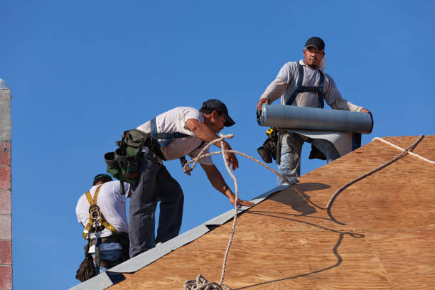 Best Metal Roofing Contractor  in Carol Stream, IL