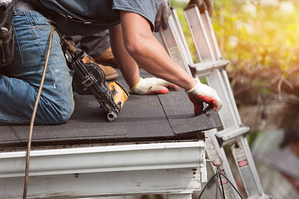 Best New Roof Installation  in Carol Stream, IL